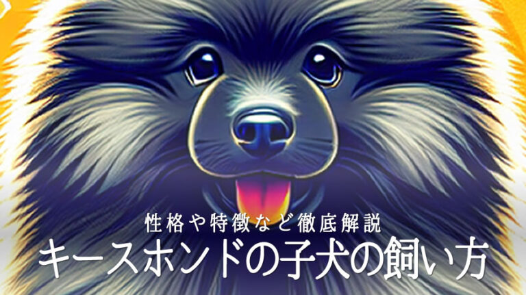 キースホンド子犬のアイキャッチ画像