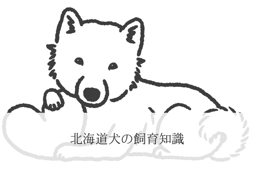 リラックスしている北海道犬