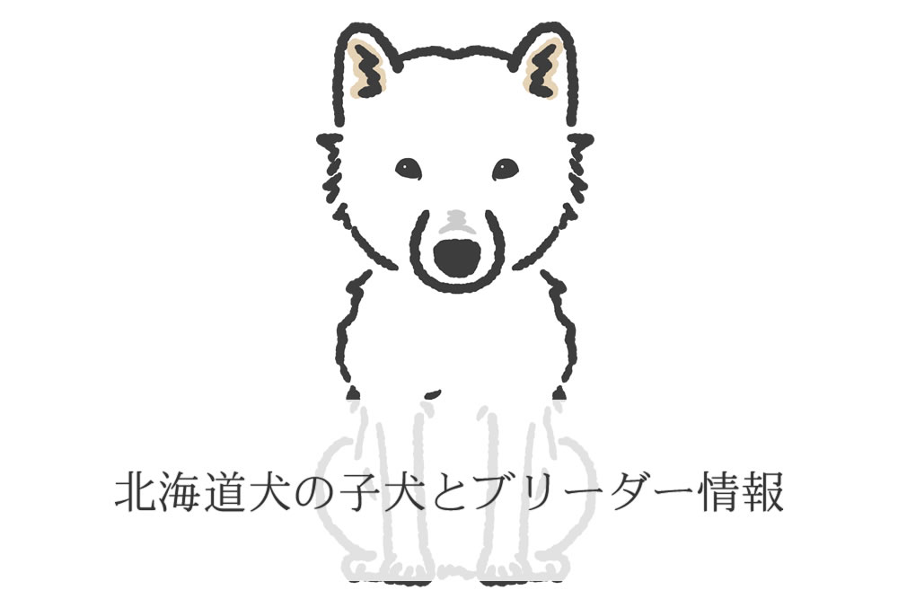 お座りして利口な北海道犬