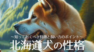 北海道犬の性格は？知っておくべき特徴と飼い方のポイント